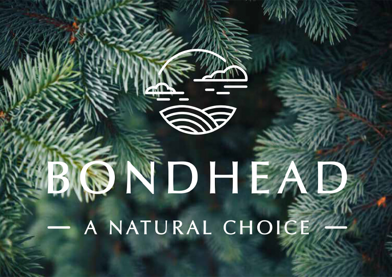 Bond Head